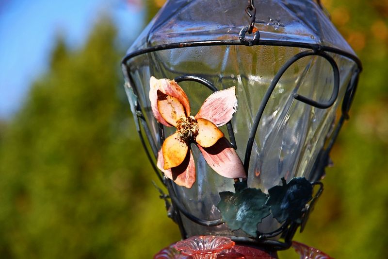 IMAGE: http://i2.photobucket.com/albums/y17/msowsun/photo%20stuff/15-85/IMG_5324a.jpg