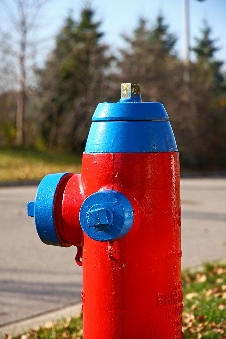 IMAGE: http://i2.photobucket.com/albums/y17/msowsun/photo%20stuff/15-85/IMG_5335a.jpg