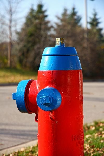 IMAGE: http://i2.photobucket.com/albums/y17/msowsun/photo%20stuff/15-85/IMG_5335a_400.jpg