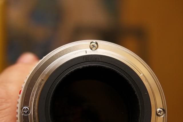 IMAGE: http://i2.photobucket.com/albums/y17/msowsun/photo%20stuff/IMG_7305_640.jpg