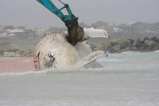 IMAGE: http://i2.photobucket.com/albums/y17/msowsun/photo%20stuff/IMG_7482-1.jpg