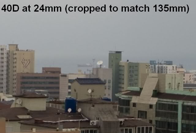 IMAGE: http://i2.photobucket.com/albums/y17/msowsun/photo%20stuff/Newer/40D_IMG_7107_crop.jpg