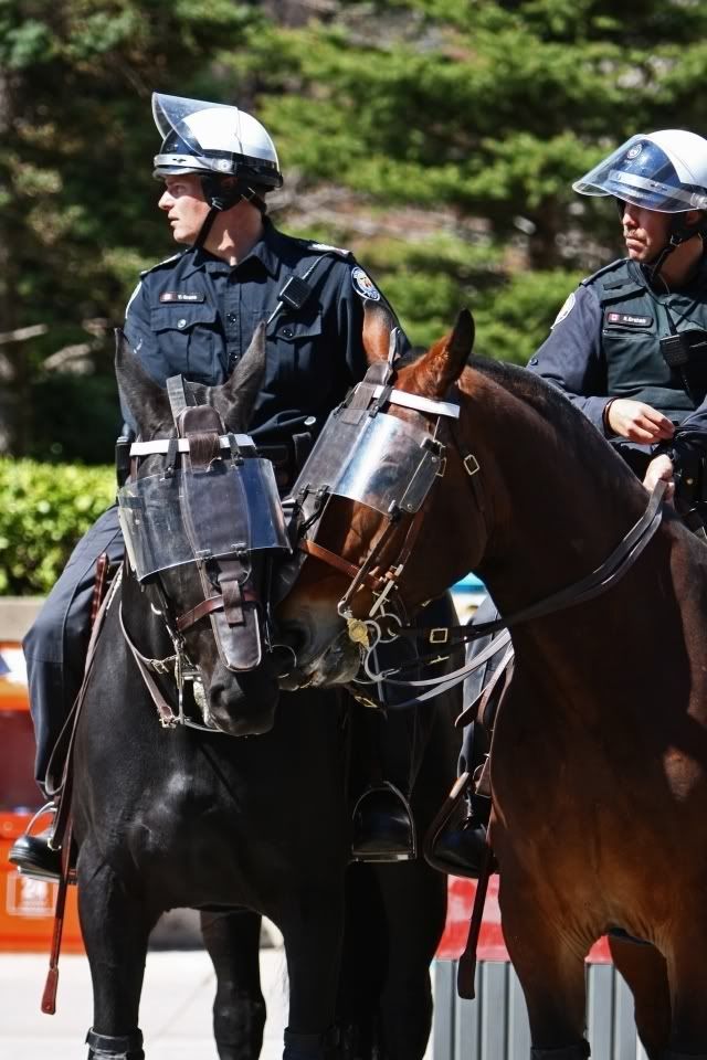 IMAGE: http://i2.photobucket.com/albums/y17/msowsun/photo%20stuff/Newer/Candids/IMG_1728b.jpg