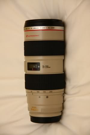 IMAGE: http://i2.photobucket.com/albums/y17/msowsun/photo%20stuff/Newer/IMG_5345_300.jpg