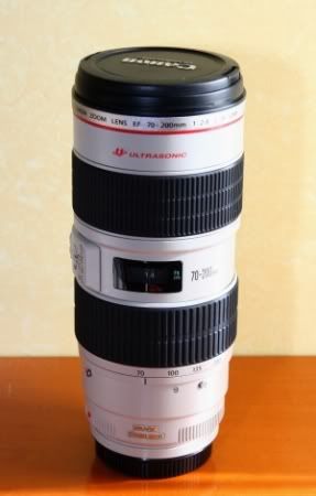 IMAGE: http://i2.photobucket.com/albums/y17/msowsun/photo%20stuff/Newer/IMG_5348_301.jpg