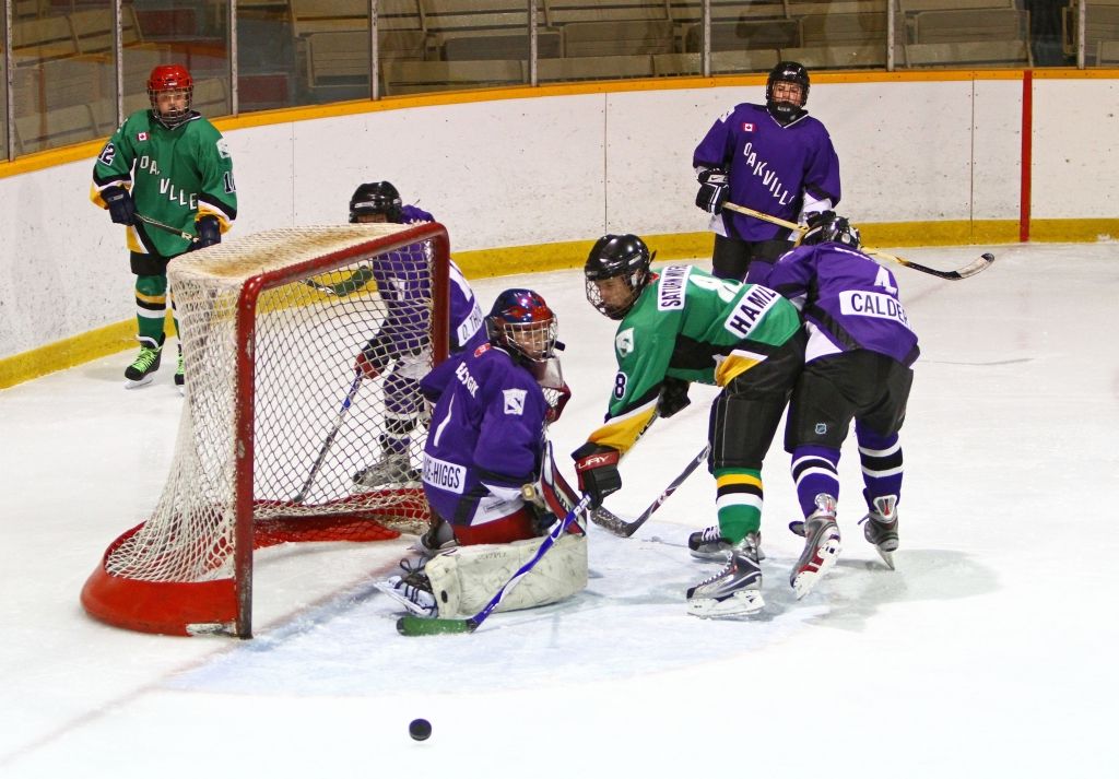 IMAGE: http://i2.photobucket.com/albums/y17/msowsun/photo%20stuff/Photo1/IMG_2558.jpg