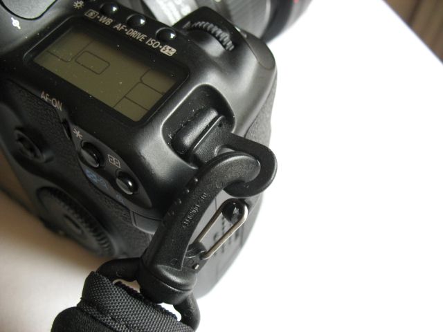 IMAGE: http://i2.photobucket.com/albums/y17/msowsun/photo%20stuff/Photo1/IMG_3003.jpg