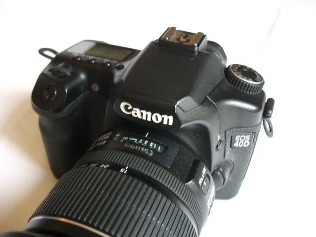 IMAGE: http://i2.photobucket.com/albums/y17/msowsun/photo%20stuff/Photo1/IMG_3010.jpg