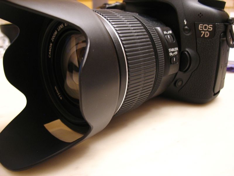 IMAGE: http://i2.photobucket.com/albums/y17/msowsun/photo%20stuff/Photo1/IMG_3035_800.jpg