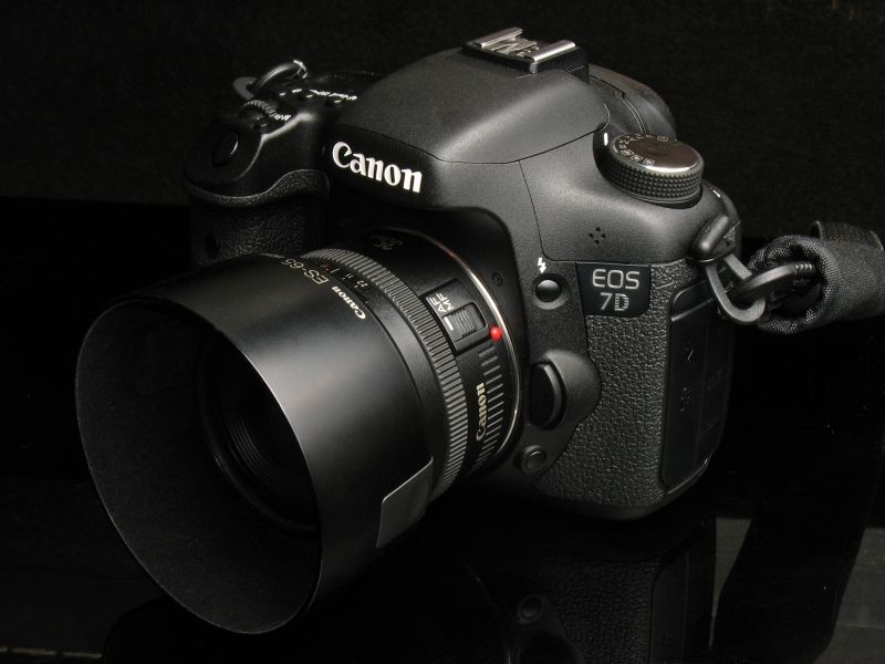 IMAGE: http://i2.photobucket.com/albums/y17/msowsun/photo%20stuff/Photo1/IMG_3096_800.jpg