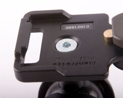 IMAGE: http://i2.photobucket.com/albums/y17/msowsun/photo%20stuff/Photo10/_001fabbb.jpg