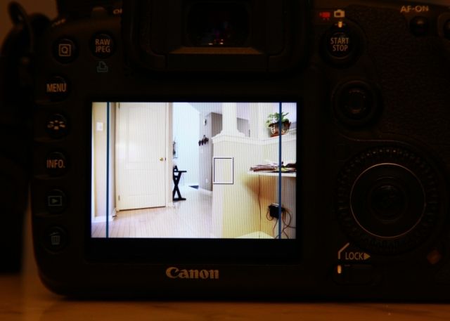 IMAGE: http://i2.photobucket.com/albums/y17/msowsun/photo%20stuff/Photo11/IMG_9384_zpsfcf49960.jpg