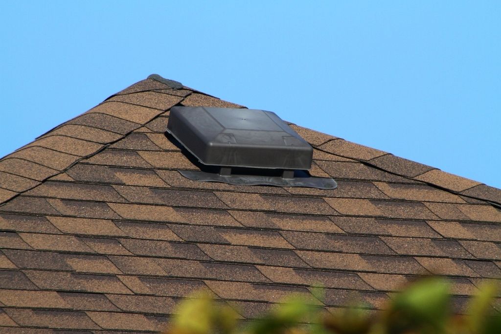 IMAGE: http://i2.photobucket.com/albums/y17/msowsun/photo%20stuff/Photo12/IMG_4938_1024_zps35fccbea.jpg