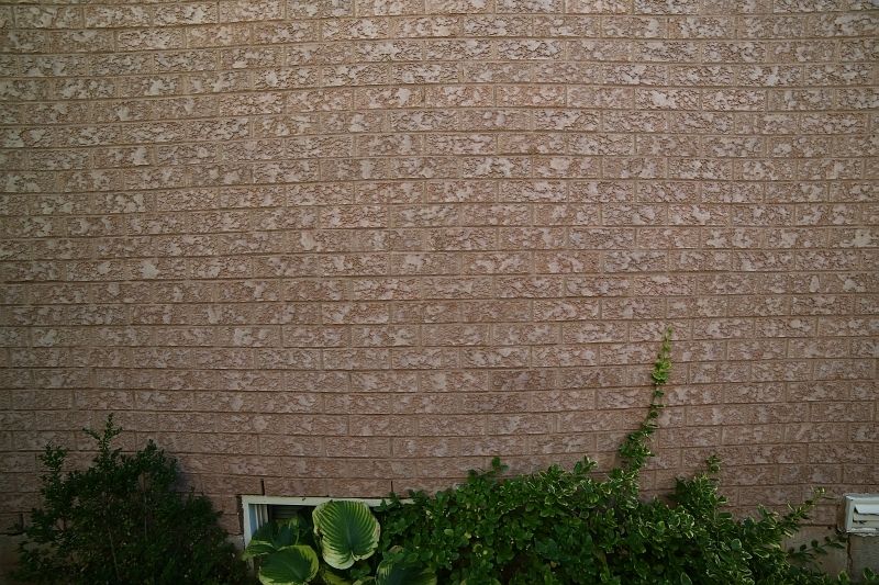 IMAGE: http://i2.photobucket.com/albums/y17/msowsun/photo%20stuff/Photo13/5D3_0291_800_zps4cce2094.jpg