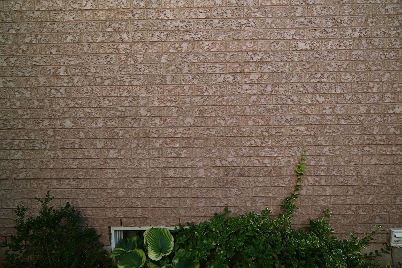 IMAGE: http://i2.photobucket.com/albums/y17/msowsun/photo%20stuff/Photo13/5D3_0291_pt_800_zpsc84df91e.jpg