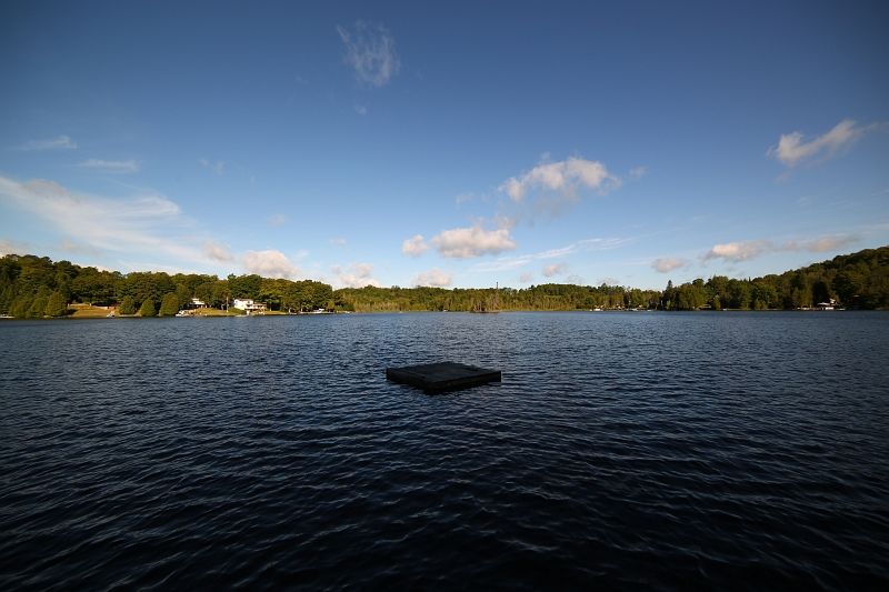 IMAGE: http://i2.photobucket.com/albums/y17/msowsun/photo%20stuff/Photo13/5D3_3664_pt_800_zps0555b011.jpg