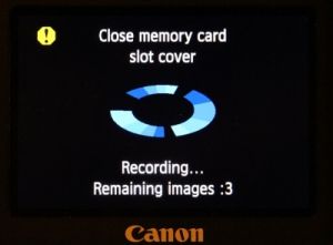 IMAGE: http://i2.photobucket.com/albums/y17/msowsun/photo%20stuff/Photo14/IMG_7247_300.jpg~original