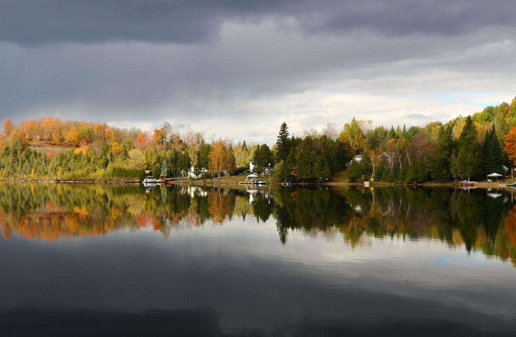 IMAGE: http://i2.photobucket.com/albums/y17/msowsun/photo%20stuff/Photo15/IMG_2156.jpg~original