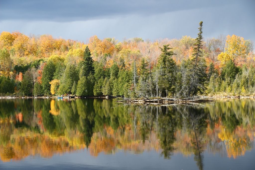 IMAGE: http://i2.photobucket.com/albums/y17/msowsun/photo%20stuff/Photo15/IMG_2162.jpg~original