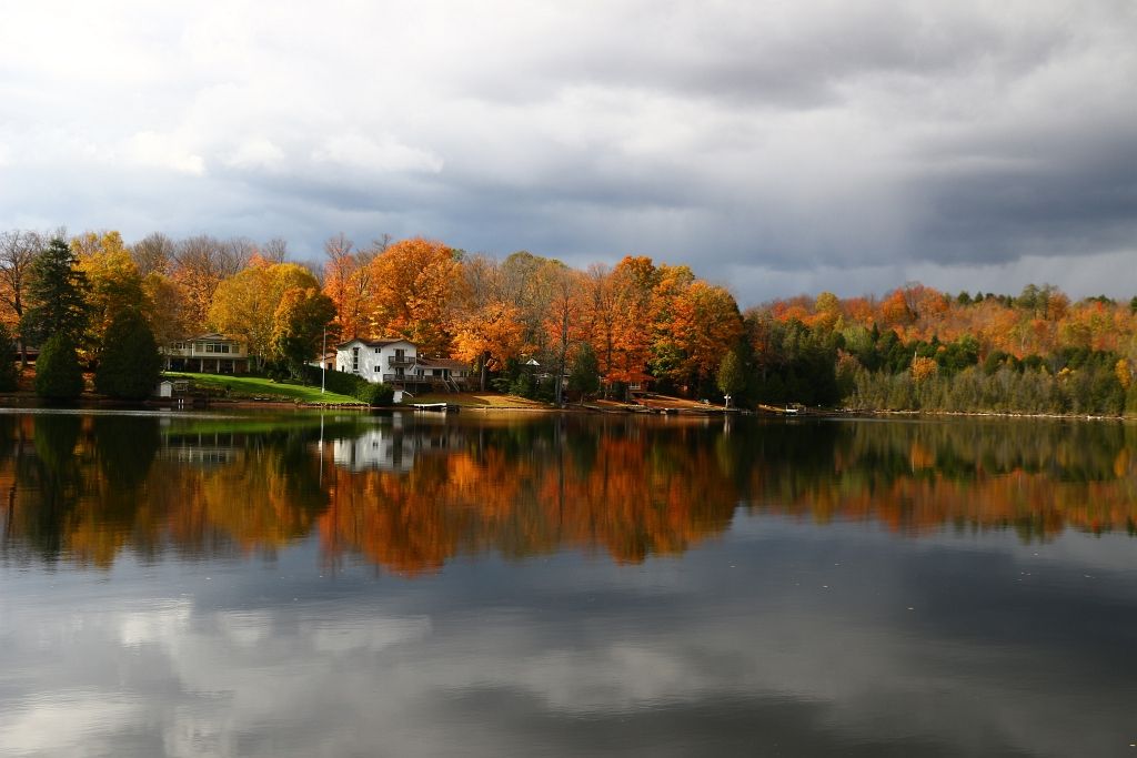 IMAGE: http://i2.photobucket.com/albums/y17/msowsun/photo%20stuff/Photo15/IMG_2168.jpg~original