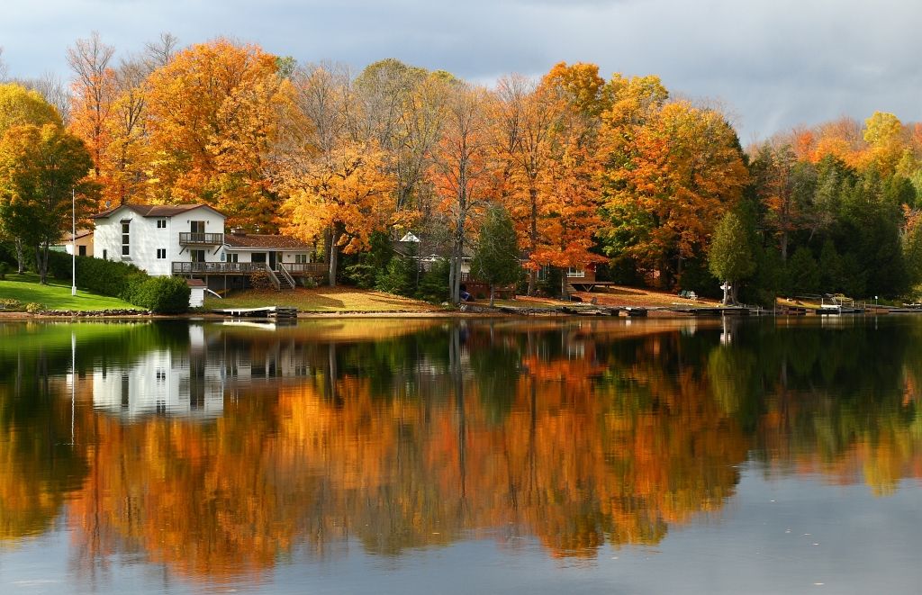 IMAGE: http://i2.photobucket.com/albums/y17/msowsun/photo%20stuff/Photo15/IMG_2174.jpg~original