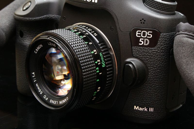 IMAGE: http://i2.photobucket.com/albums/y17/msowsun/photo%20stuff/Photo15/IMG_6287_800a.jpg~original