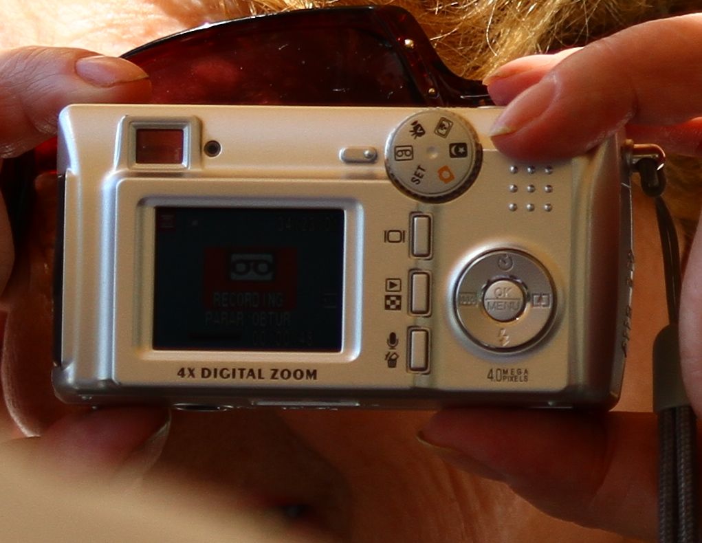 IMAGE: http://i2.photobucket.com/albums/y17/msowsun/photo%20stuff/Photo2/IMG_5671crop2.jpg