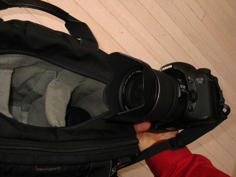 IMAGE: http://i2.photobucket.com/albums/y17/msowsun/photo%20stuff/Photo4/IMG_0199_800.jpg