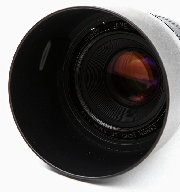 IMAGE: http://i2.photobucket.com/albums/y17/msowsun/photo%20stuff/Photo4/IMG_1997_588b.jpg