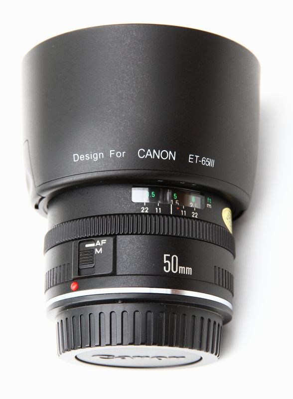 IMAGE: http://i2.photobucket.com/albums/y17/msowsun/photo%20stuff/Photo4/IMG_2002_800.jpg