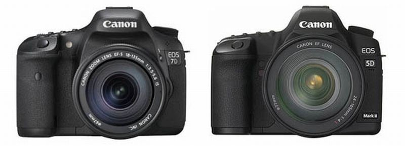 IMAGE: http://i2.photobucket.com/albums/y17/msowsun/photo%20stuff/Photo4/_1a.jpg