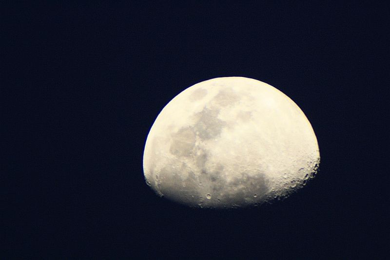 IMAGE: http://i2.photobucket.com/albums/y17/msowsun/photo%20stuff/Photo4/_1hs.jpg