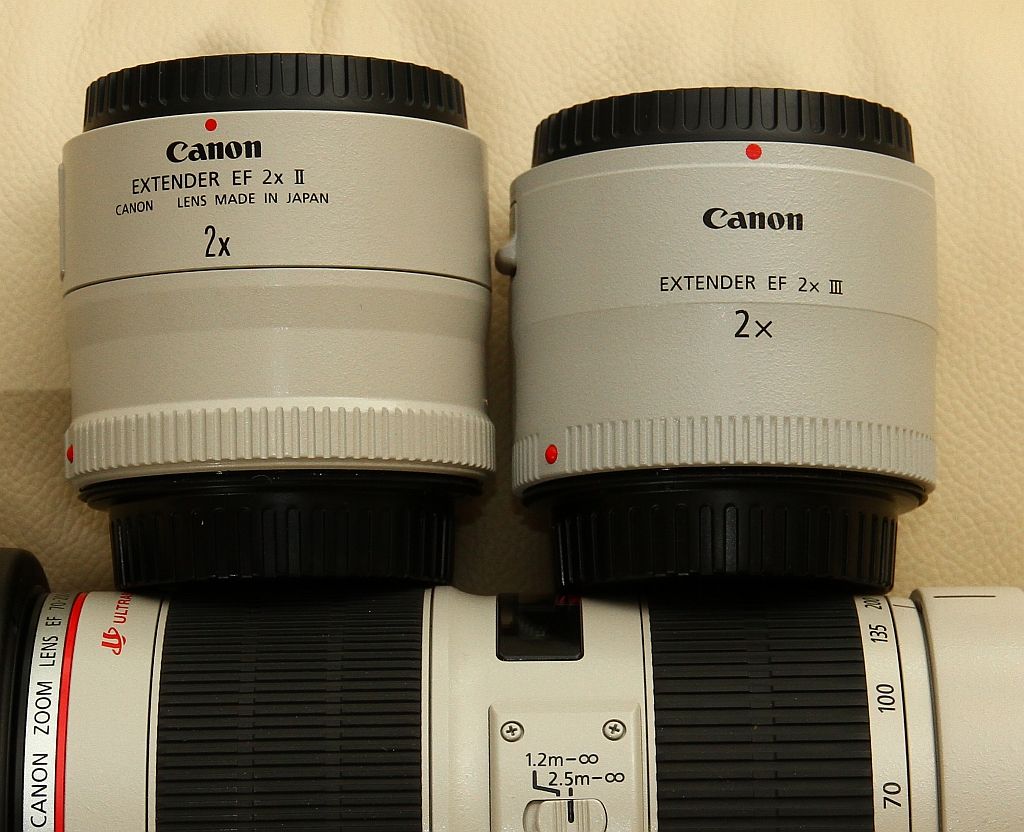 IMAGE: http://i2.photobucket.com/albums/y17/msowsun/photo%20stuff/Photo5/IMG_4645_1024.jpg