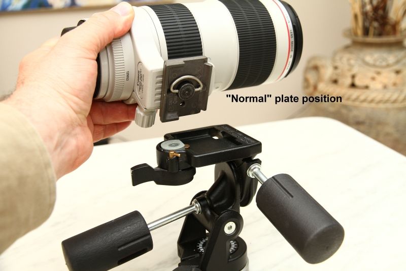 IMAGE: http://i2.photobucket.com/albums/y17/msowsun/photo%20stuff/Photo5/IMG_8294.jpg