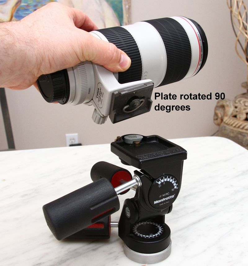 IMAGE: http://i2.photobucket.com/albums/y17/msowsun/photo%20stuff/Photo5/IMG_8295.jpg