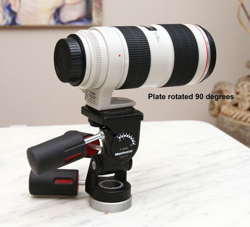 IMAGE: http://i2.photobucket.com/albums/y17/msowsun/photo%20stuff/Photo5/IMG_8299.jpg