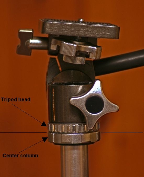 IMAGE: http://i2.photobucket.com/albums/y17/msowsun/photo%20stuff/Photo5/_1-24.jpg