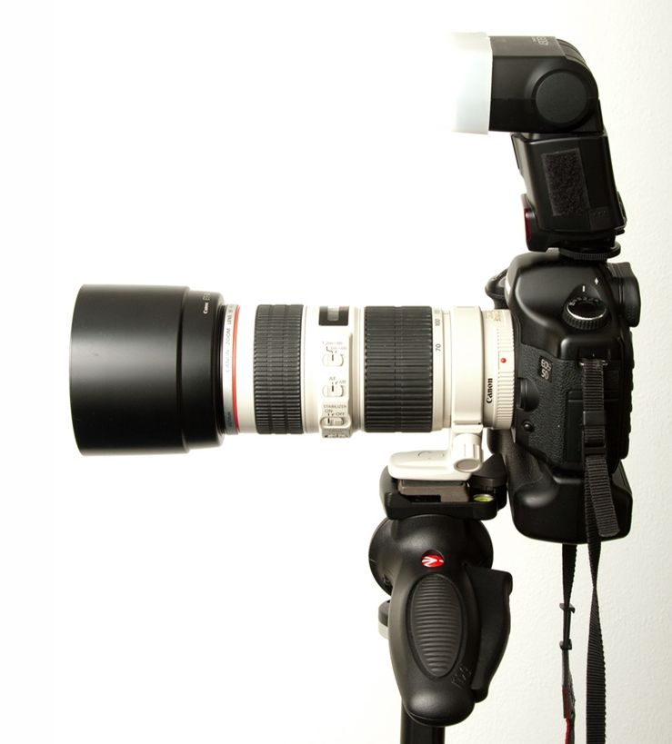 IMAGE: http://i2.photobucket.com/albums/y17/msowsun/photo%20stuff/Photo5/_1ee-1.jpg