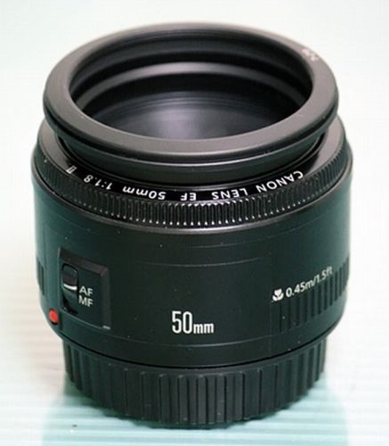 IMAGE: http://i2.photobucket.com/albums/y17/msowsun/photo%20stuff/Photo5/download4.jpg