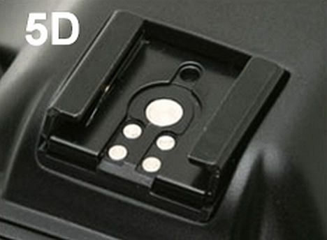 IMAGE: http://i2.photobucket.com/albums/y17/msowsun/photo%20stuff/Photo6/_1a-19.jpg