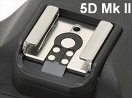 IMAGE: http://i2.photobucket.com/albums/y17/msowsun/photo%20stuff/Photo6/_1aa-7.jpg