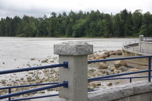 IMAGE: http://i2.photobucket.com/albums/y17/msowsun/photo%20stuff/Photo6/_1d-4.jpg