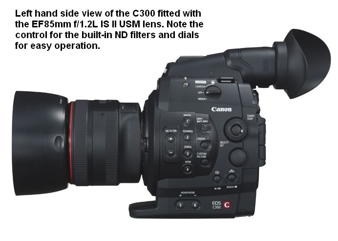 IMAGE: http://i2.photobucket.com/albums/y17/msowsun/photo%20stuff/Photo7/_1-29.jpg