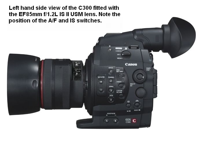 IMAGE: http://i2.photobucket.com/albums/y17/msowsun/photo%20stuff/Photo7/_1a-12.jpg