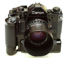 IMAGE: http://i2.photobucket.com/albums/y17/msowsun/photo%20stuff/Photo7/_1aa-6.jpg