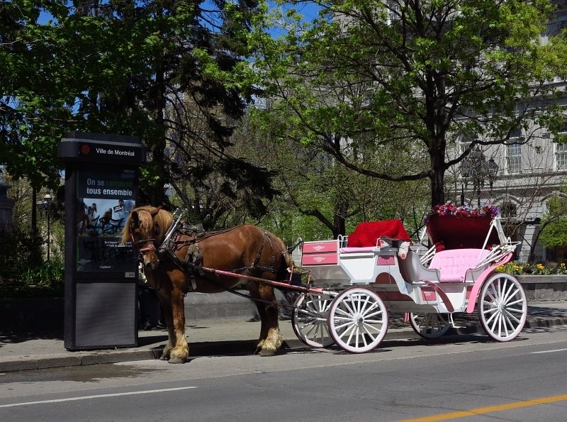 IMAGE: http://i2.photobucket.com/albums/y17/msowsun/photo%20stuff/Photo8/IMG_0492.jpg