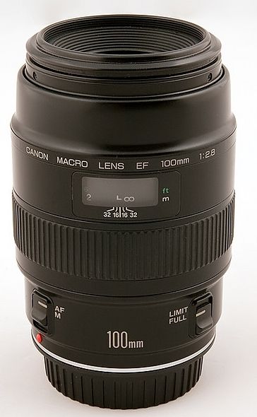 IMAGE: http://i2.photobucket.com/albums/y17/msowsun/photo%20stuff/Photo8/_01a-5.jpg