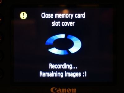 IMAGE: http://i2.photobucket.com/albums/y17/msowsun/photo%20stuff/Photo8/_01aaaa.jpg