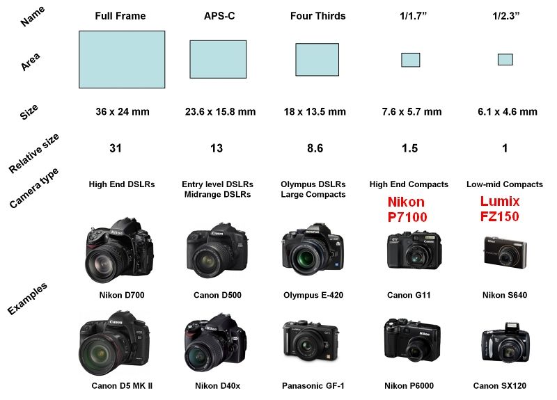 IMAGE: http://i2.photobucket.com/albums/y17/msowsun/photo%20stuff/Photo9/001aa-3.jpg