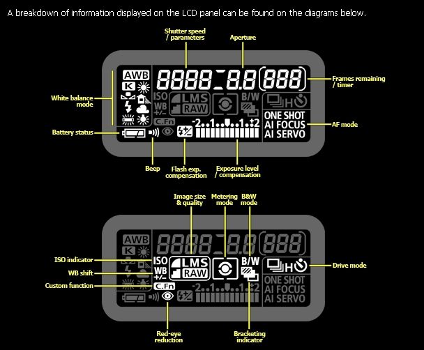 IMAGE: http://i2.photobucket.com/albums/y17/msowsun/photo%20stuff/Photo9/001aaa-1.jpg